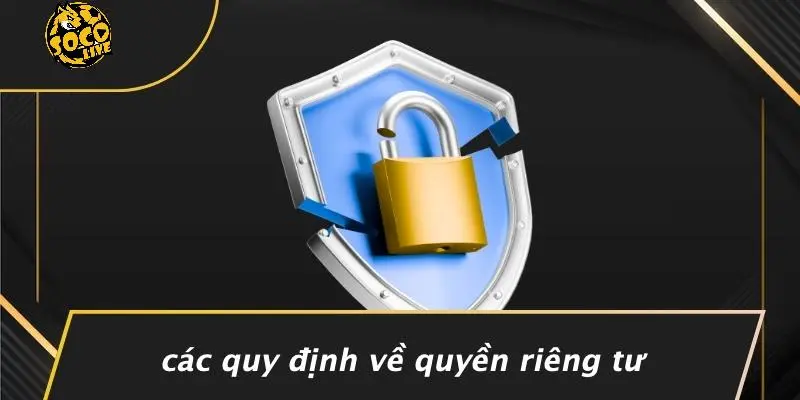 quyền riêng tư 2 quyền riêng tư