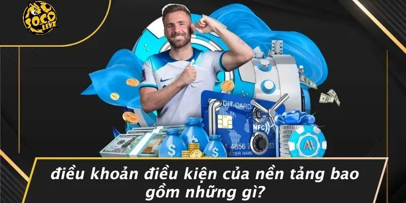 điều khoản điều kiện