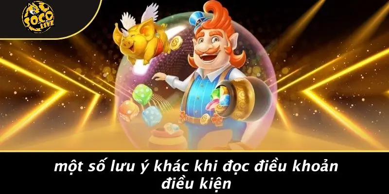 điều khoản điều kiện