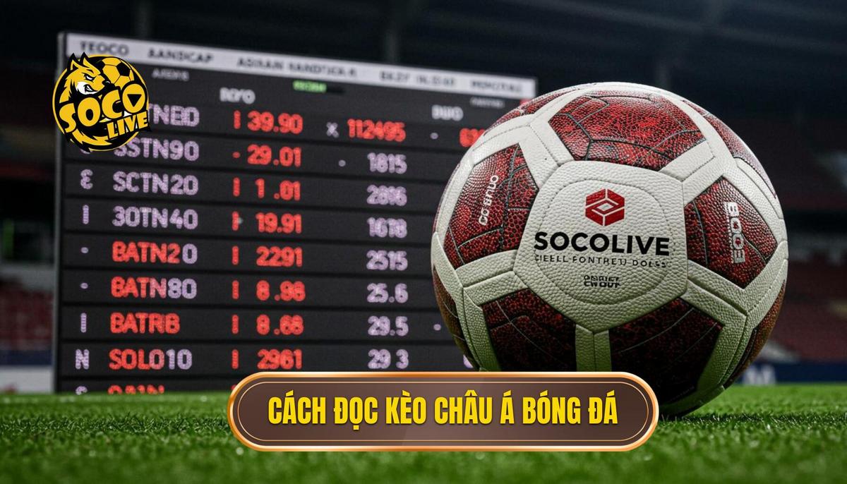 Hướng Dẫn Chi Tiết Cách Đọc Tỷ Lệ Kèo Bóng Đá Chuẩn Xác Nhất 1 1. Cách Đọc Tỷ Lệ Kèo Bóng Đá Châu Á (Handicap)