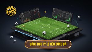 Cách đọc tỷ lệ kèo bóng đá