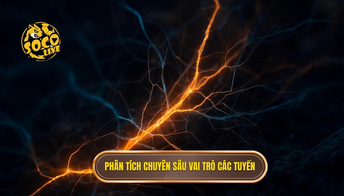 Chiến thuật bóng đá 3-3-3-1: Sơ Đồ Tấn Công Toàn Diện và Cách Vận Hành 2 Phân Tích Chuyên Sâu Vai Trò Từng Tuyến