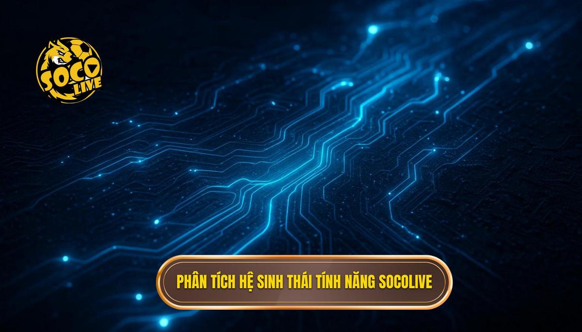 Top trang xem bóng đá socolive và hành trình chinh phục người hâm mộ túc cầu 2 Phân tích chuyên sâu về hệ sinh thái tính năng của socolive