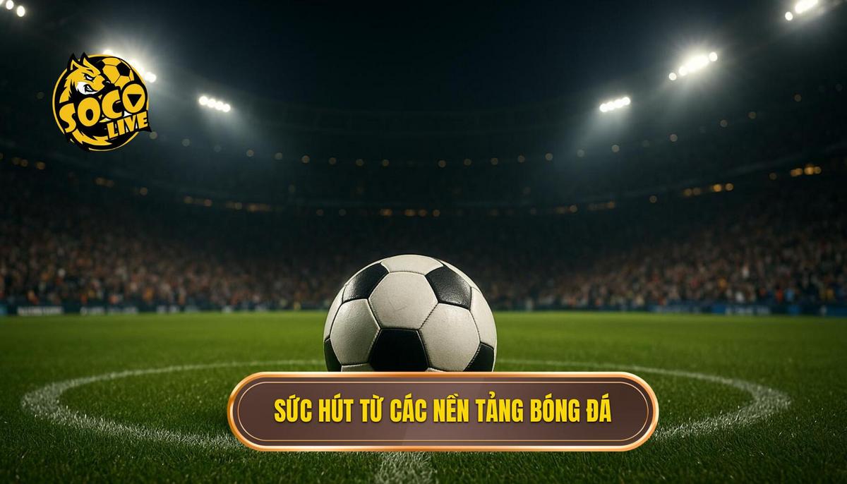 Top trang xem bóng đá socolive và hành trình chinh phục người hâm mộ túc cầu 1 Sức hút mãnh liệt từ các nền tảng trong top trang xem bóng đá socolive