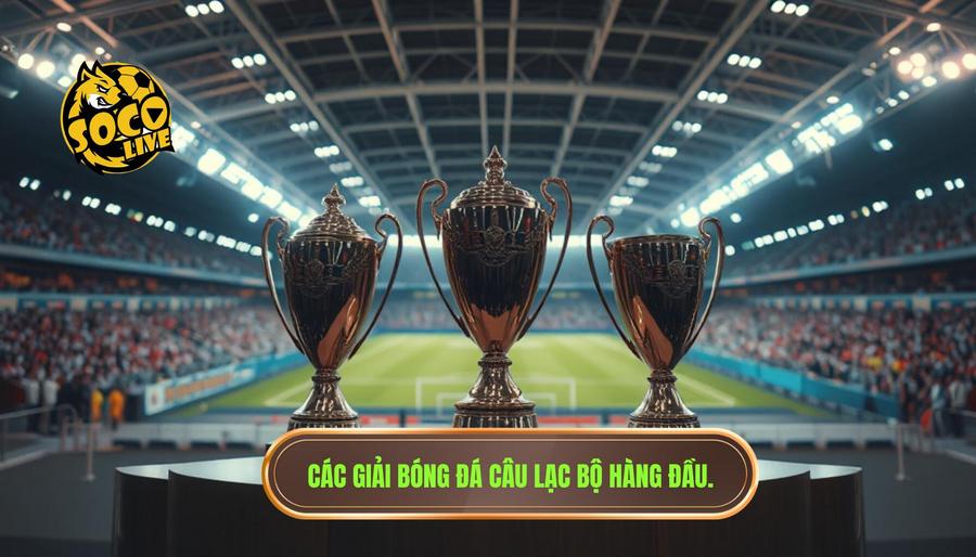Giải bóng đá hàng đầu: Hành trình khám phá những đấu trường đẳng cấp nhất hành tinh 2 Các giải bóng đá câu lạc bộ hàng đầu